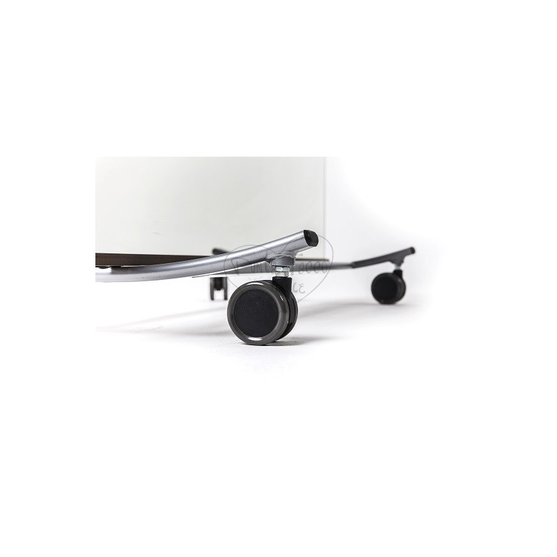 Professional mobile mirror with wheels Billy Dinamica Ballet