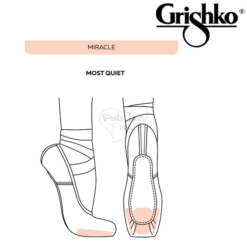 PUNTA GRISHKO